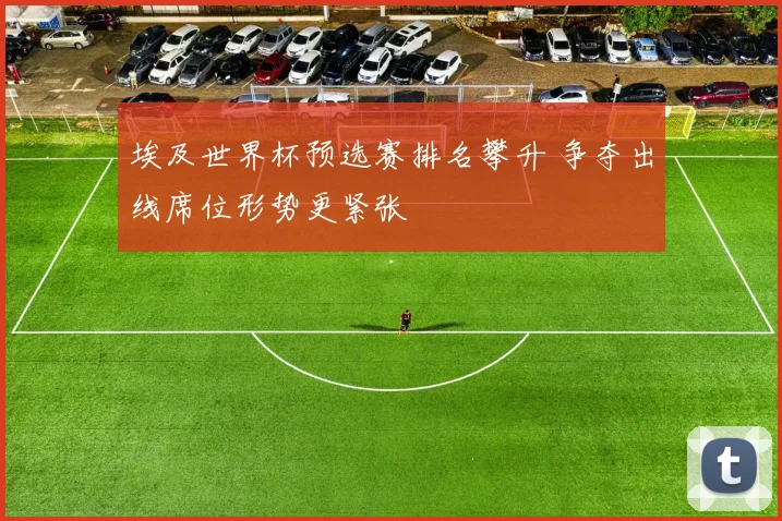 埃及世界杯预选赛排名攀升 争夺出线席位形势更紧张