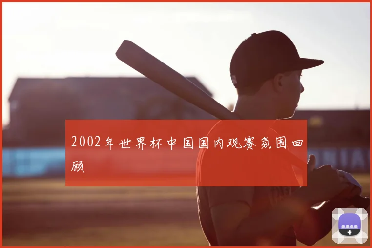 2002年世界杯中国国内观赛氛围回顾