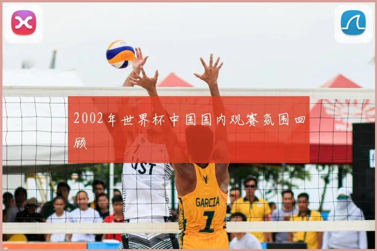 2002年世界杯中国国内观赛氛围回顾