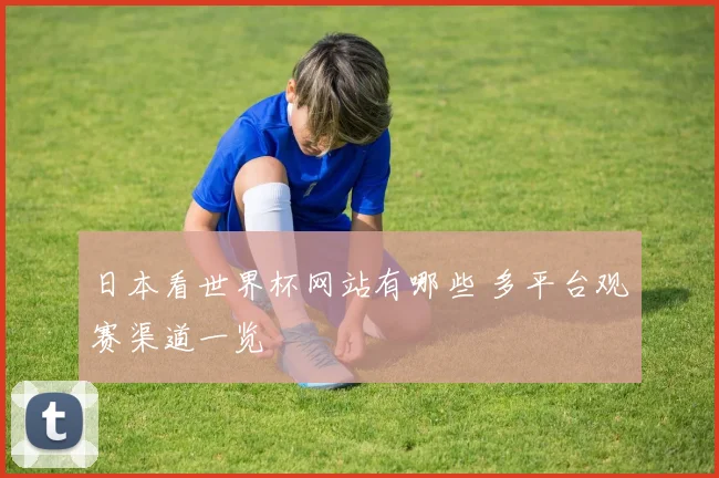 日本看世界杯网站有哪些 多平台观赛渠道一览