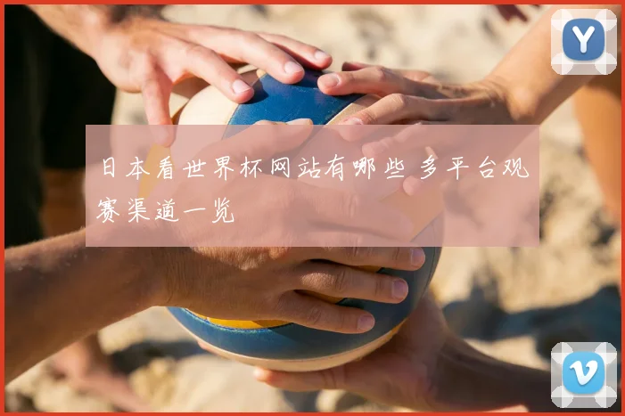 日本看世界杯网站有哪些 多平台观赛渠道一览