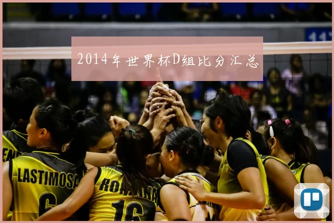 2014年世界杯D组比分汇总